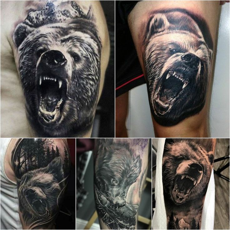 Bear Tattoo Meaning