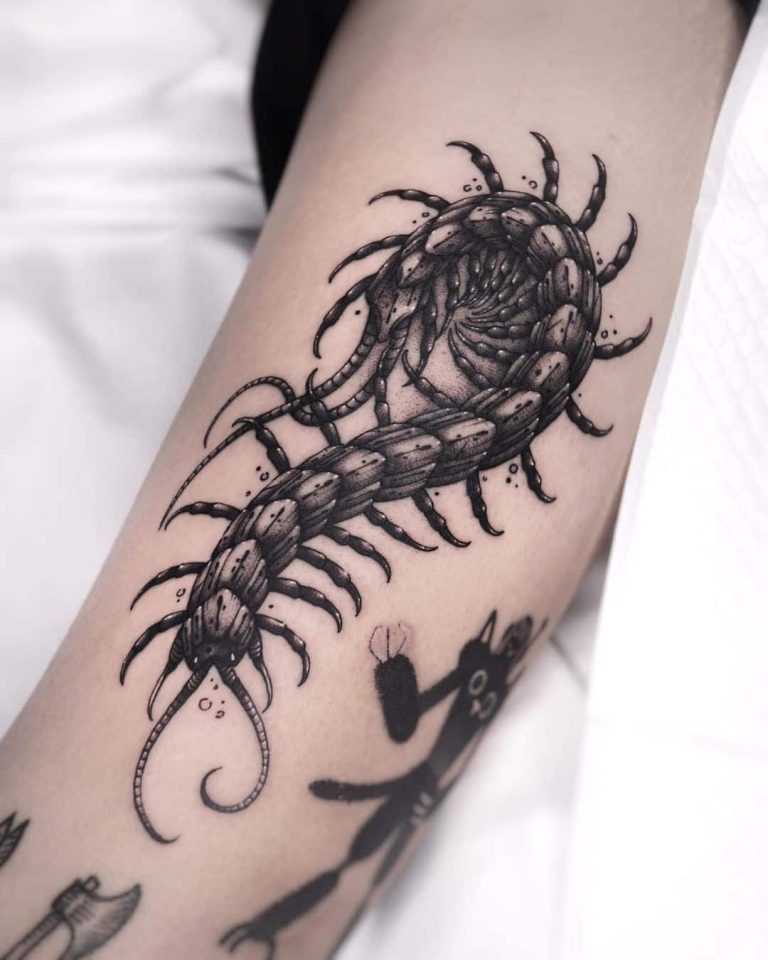 Centipede Tattoo Meaning