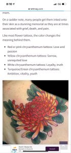 Chrysanthemum Tattoo Meaning