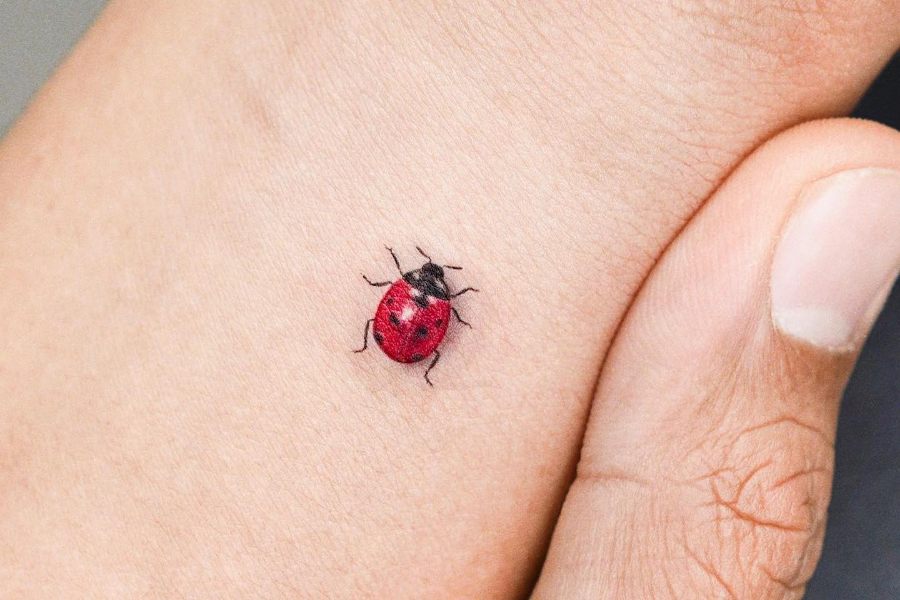 Ladybird Tattoo Meaning