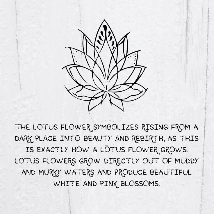 Lotus Flower Meaning Tattoo